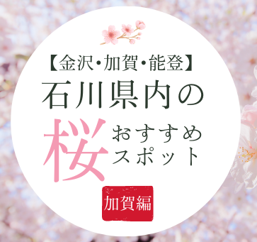 【金沢･加賀】石川県内の桜の名所19選まとめ〜加賀版〜桜の名所9選｜2024年版 花見時期・開花予想付き｜