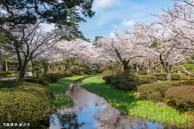 兼六園の四季彩 春夏秋冬 旅ガイド 兼六園 金沢城公園 金沢の観光スポット イベント案内 金沢日和